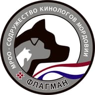 МРОО-"СКМ"ФЛАГМАН"