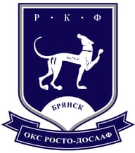 БОКС РОСТО (ДОСААФ)