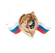"Клуб Абсолют"