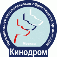 РКОО Кинодром