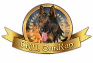 ЯРОО ЦПС Олькар