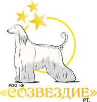 РОО "КК "СОЗВЕЗДИЕ" РТ