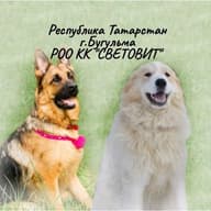 РОО КК СВЕТОВИТ РТ