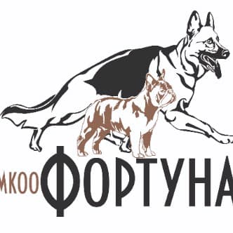 МКОО "Фортуна"