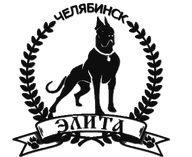 ЧРОО«ОЛЖ«ЭЛИТА»