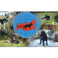 МООК РАТИБОР