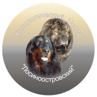 РОО КЦ "ЛОСИНООСТРОВСКИЙ"