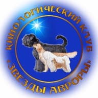 РКОО "ЗВЕЗДЫ АВРОРЫ"