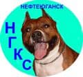 МОО "НГКС"