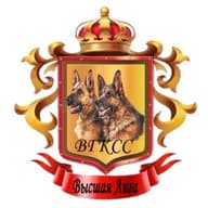МОО ВГКСС "ВЫСШАЯ ЛИГА"