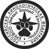 КРКФОО "Звезда Запада - Калининград"