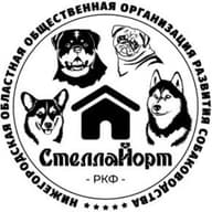 НОООРС "СтеллаЙорт" (Звёздный Дом)