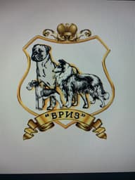 ОЛСБП "БРИЗ"