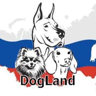 Клуб Доглэнд