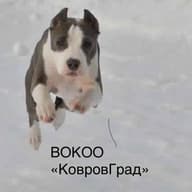 ВОКОО «КовровГрад»