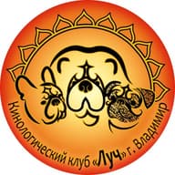 ВРОО "КК "ЛУЧ"