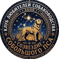 АООО КЛС "СОЗВЕЗДИЕ БОЛЬШОГО ПСА"