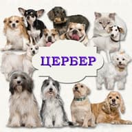 ПРОО ВГКС "Цербер"