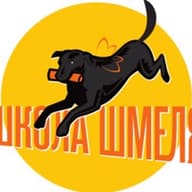 МОО Школа Шмеля