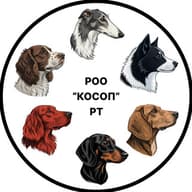 РОО "КОСОП" РТ