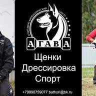 НРОО "Клуб любителей дрессировки собак"