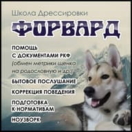 РОКОМО "ФОРВАРД"