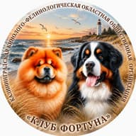 ККФ ООО "КЛУБ ФОРТУНА"