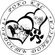 РОКО КЛС ГОРДОСТЬ ДОНБАССА  ДНР