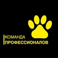 Ульяновский городской кинологический клуб "ДогКлаб Плюс"
