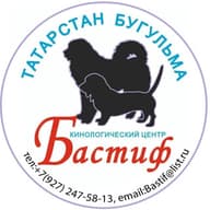 РОО КЦ БАСТИФ РТ