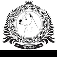 СРООЛС "Триумф"