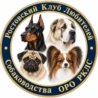 ОРО РКЛС