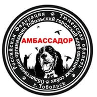 ООТГКОС "Амбассадор"