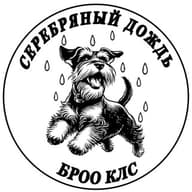 БРОО КЛС "СЕРЕБРЯНЫЙ ДОЖДЬ"