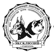 РООЛС СК "ЭКСКЛЮЗИВ"