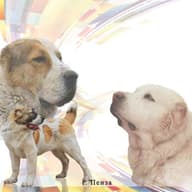 ПРОО КЛЖ "Триумф"