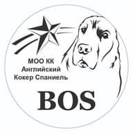 МОО КК АКС