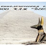 ПРОО КЛЖ Бест