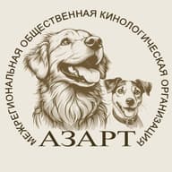 МОКО "АЗАРТ"