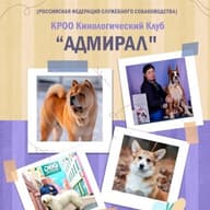 КАЛУЖСКАЯ РЕГИОНАЛЬНАЯ ОБЩЕСТВЕННАЯ ОРГАНИЗАЦИЯ "КИНОЛОГИЧЕСКИЙ КЛУБ АДМИРАЛ"