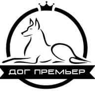 ДОГ ПРЕМЬЕР