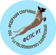 РОО ФСС РТ