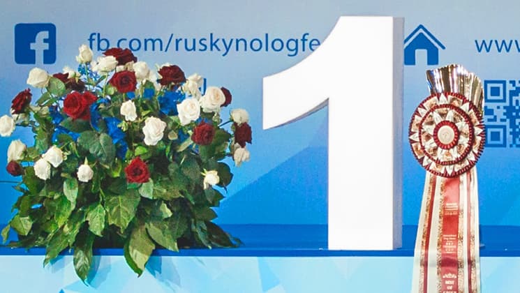 Монопородная выставка клуба ККООЛЖ КЛУБ АФИНА